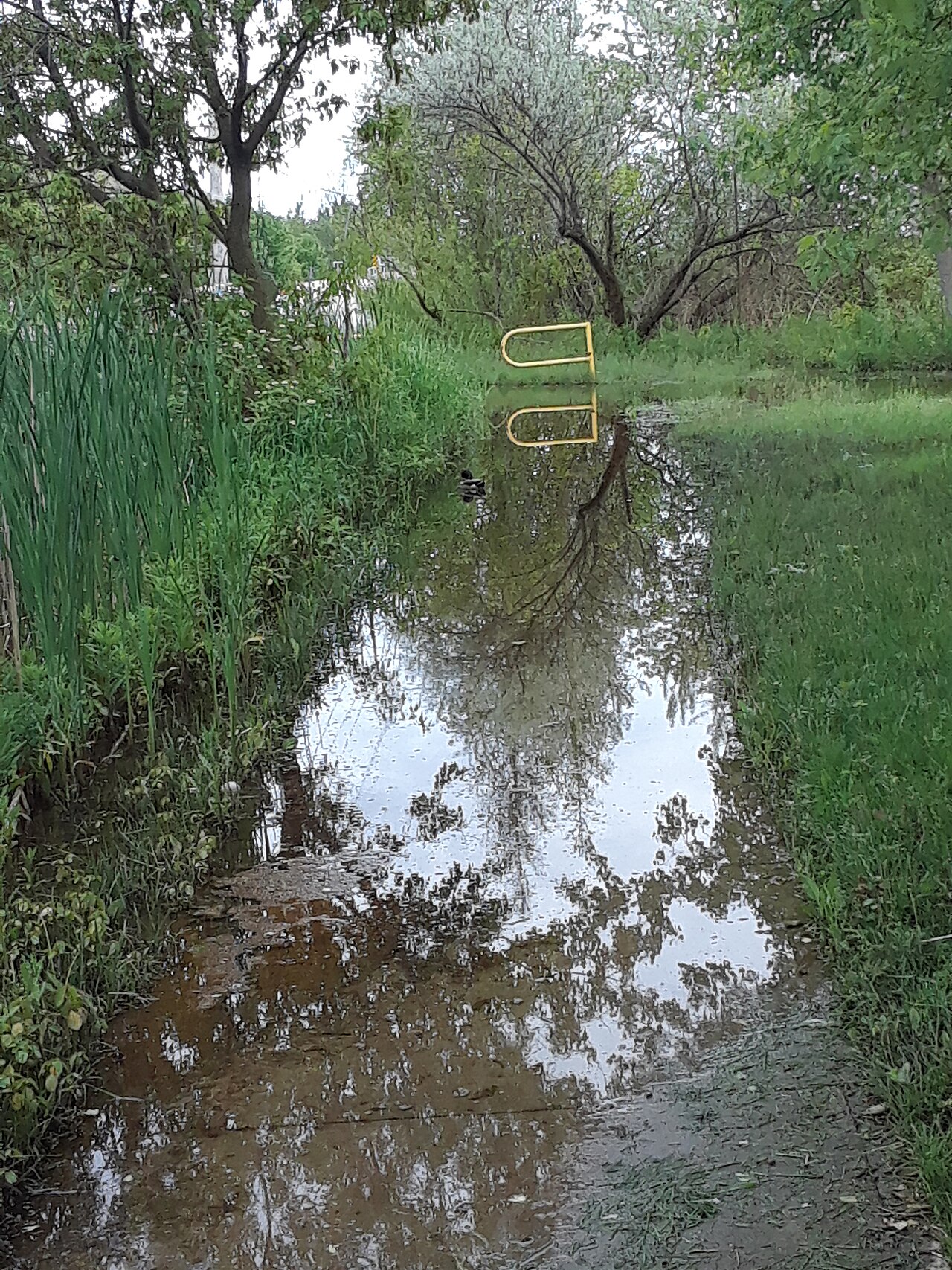 Whitby, Ontario